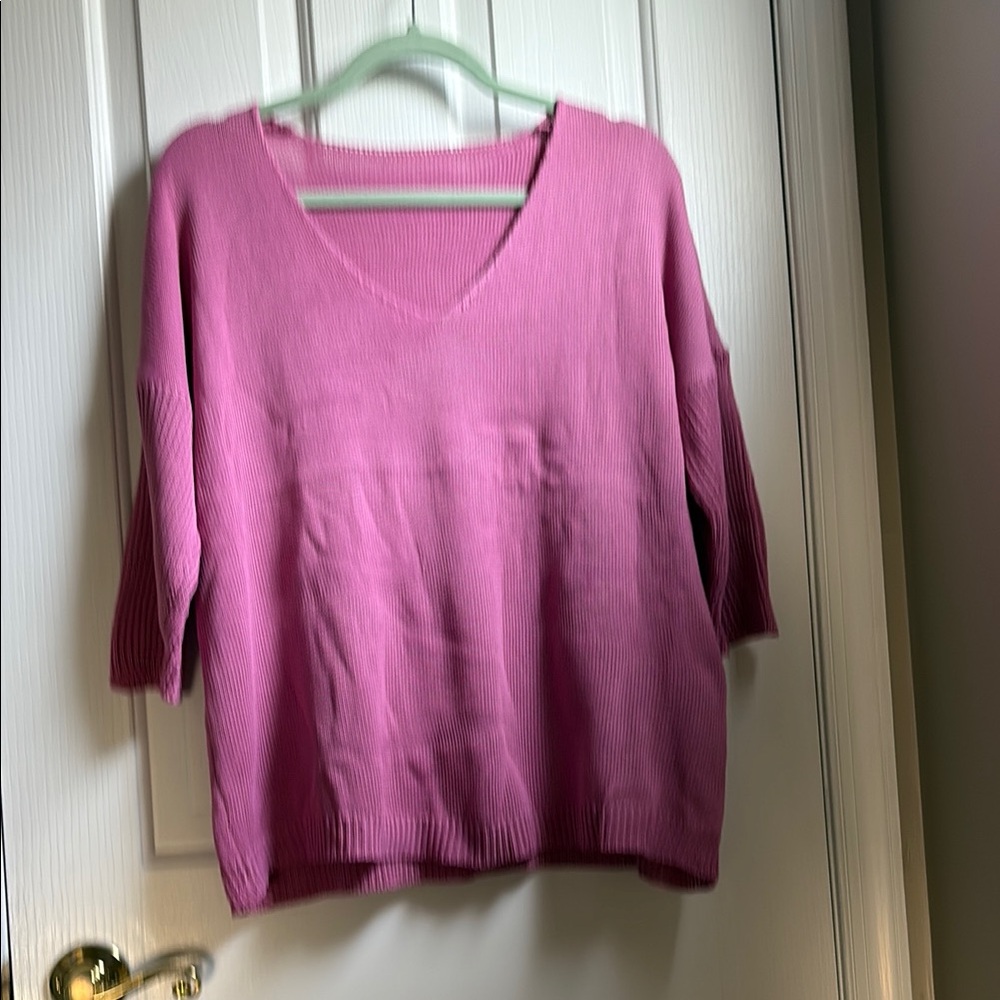 Vneck sweater NWT